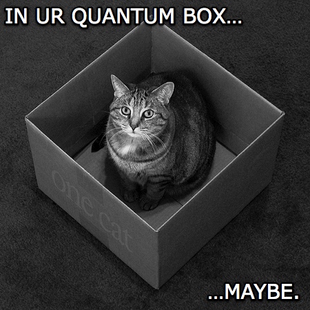 [Image: schrodinger_s-lolcat.jpg]